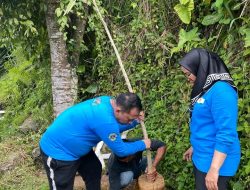 Bupati Labuhanbatu Erik adtrada Ritonga melakukan penanaman penghijauan Pohon Tabebuya