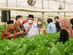 Wapres Ma’ruf dan Ansar Tinjau Pusat Pertanian Modern di Batam