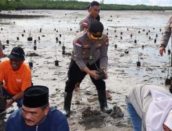 Penamanan 1000 Pohon Bibit Magrove oleh Polres Bintan Dalam Rangka Hari Bhayangkara ke 77