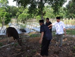 Qurban Polri Presisi Hari Bhayangkara Ke-77 Tahun 2023, Polres Bintan Potong 3 Ekor Sapi di Hari Raya Idul Adha 1444H