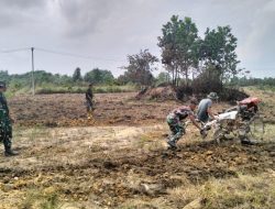 Selain Semenisasi dan Sasaran Fisik Lainnya, Satgas TMMD ke 119 Kodim 0315/Tanjungpinang Lanjut Buka Area Lahan untuk Hanpangan