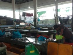 Bupati Bintan Dan BUMD Bintan Serta Pihak-Pihak Terkait Tidak Berani Menindak Tegas pelaku Penjual Aset Daerah Di Pasar Ikan Barek Motor