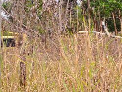 Tambang Pasir Ilegal Kembali Beraktivitas Di Bintan