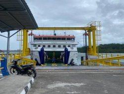 Pelabuhan Roro Dompak Menjadi Pintu Masuk Kayu Ilegal Dari Dabo