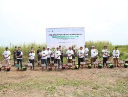 Perkuat Ekosistem Pesisir Kalteng, SPMT Grup Tanam 30.000 Bibit Mangrove