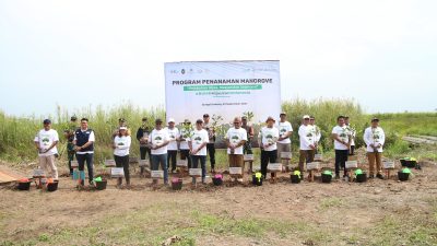 Perkuat Ekosistem Pesisir Kalteng, SPMT Grup Tanam 30.000 Bibit Mangrove